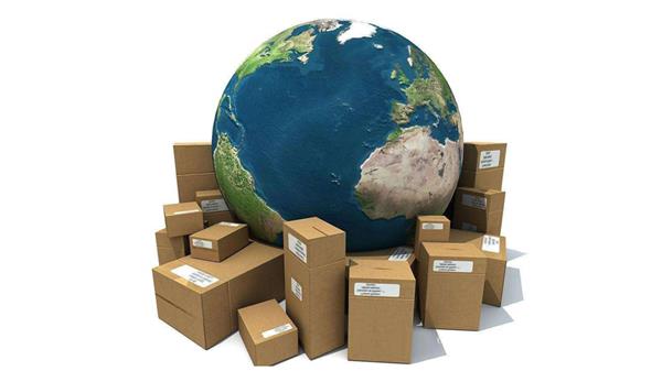 Cómo entender la preparación de los materiales de declaración de importación de alimentos.